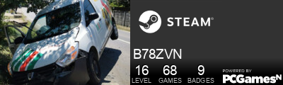 B78ZVN Steam Signature