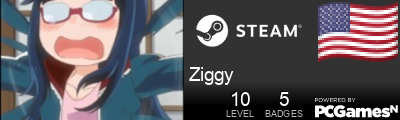 Ziggy Steam Signature