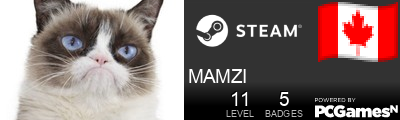 MAMZI Steam Signature