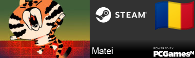 Matei Steam Signature