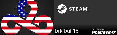 brkrball16 Steam Signature