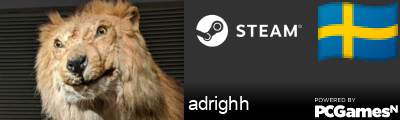 adrighh Steam Signature
