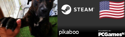 pikaboo Steam Signature