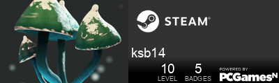 ksb14 Steam Signature