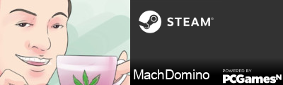 MachDomino Steam Signature
