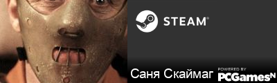 Саня Скаймаг Steam Signature