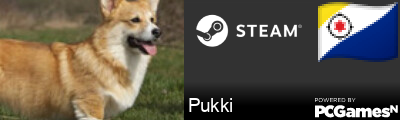 Pukki Steam Signature