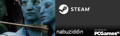 nabuziddin Steam Signature