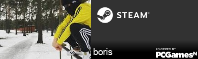 boris Steam Signature