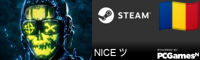 NICE ツ Steam Signature