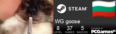 WG goose Steam Signature
