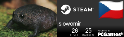 slowomir Steam Signature