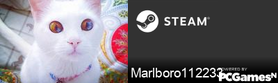 Marlboro112233 Steam Signature