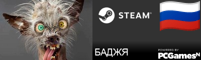 БАДЖЯ Steam Signature