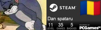 Dan spataru Steam Signature