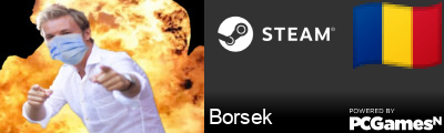 Borsek Steam Signature