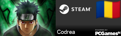 Codrea Steam Signature