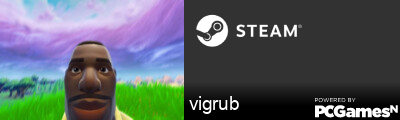 vigrub Steam Signature