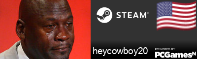 heycowboy20 Steam Signature