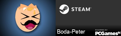 Boda-Peter Steam Signature