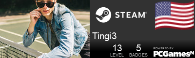 Tingi3 Steam Signature