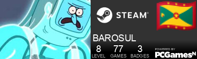 BAROSUL Steam Signature
