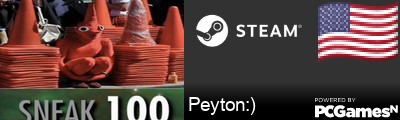 Peyton:) Steam Signature