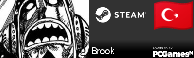 Brook Steam Signature