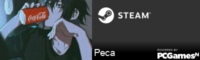Peca Steam Signature
