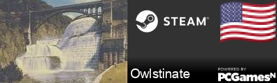 Owlstinate Steam Signature
