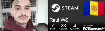 Raul WS Steam Signature
