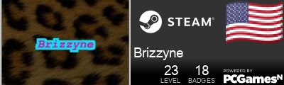Brizzyne Steam Signature