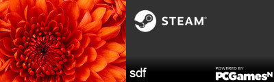 sdf Steam Signature