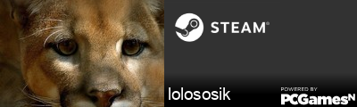 lolososik Steam Signature