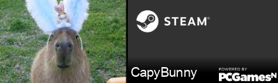CapyBunny Steam Signature