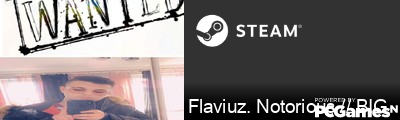 Flaviuz. Notorious // BIG Steam Signature