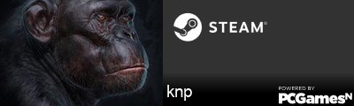 knp Steam Signature