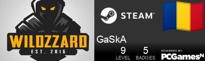 GaSkA Steam Signature