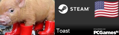 Toast Steam Signature
