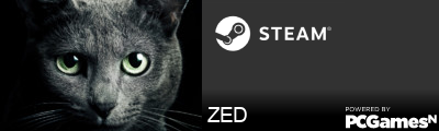 ZED Steam Signature