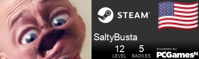 SaltyBusta Steam Signature