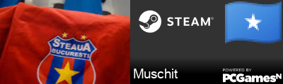 Muschit Steam Signature