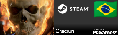 Craciun Steam Signature