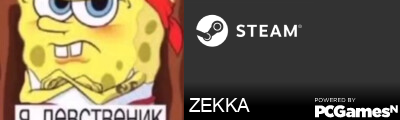 ZEKKA Steam Signature