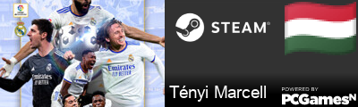 Tényi Marcell Steam Signature