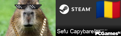 Sefu Capybarelor Steam Signature