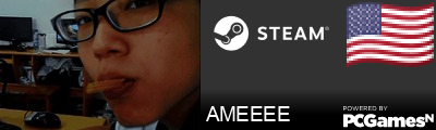 AMEEEE Steam Signature