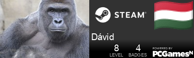 Dávid Steam Signature