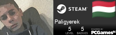 Paligyerek Steam Signature