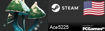 Ace5225 Steam Signature